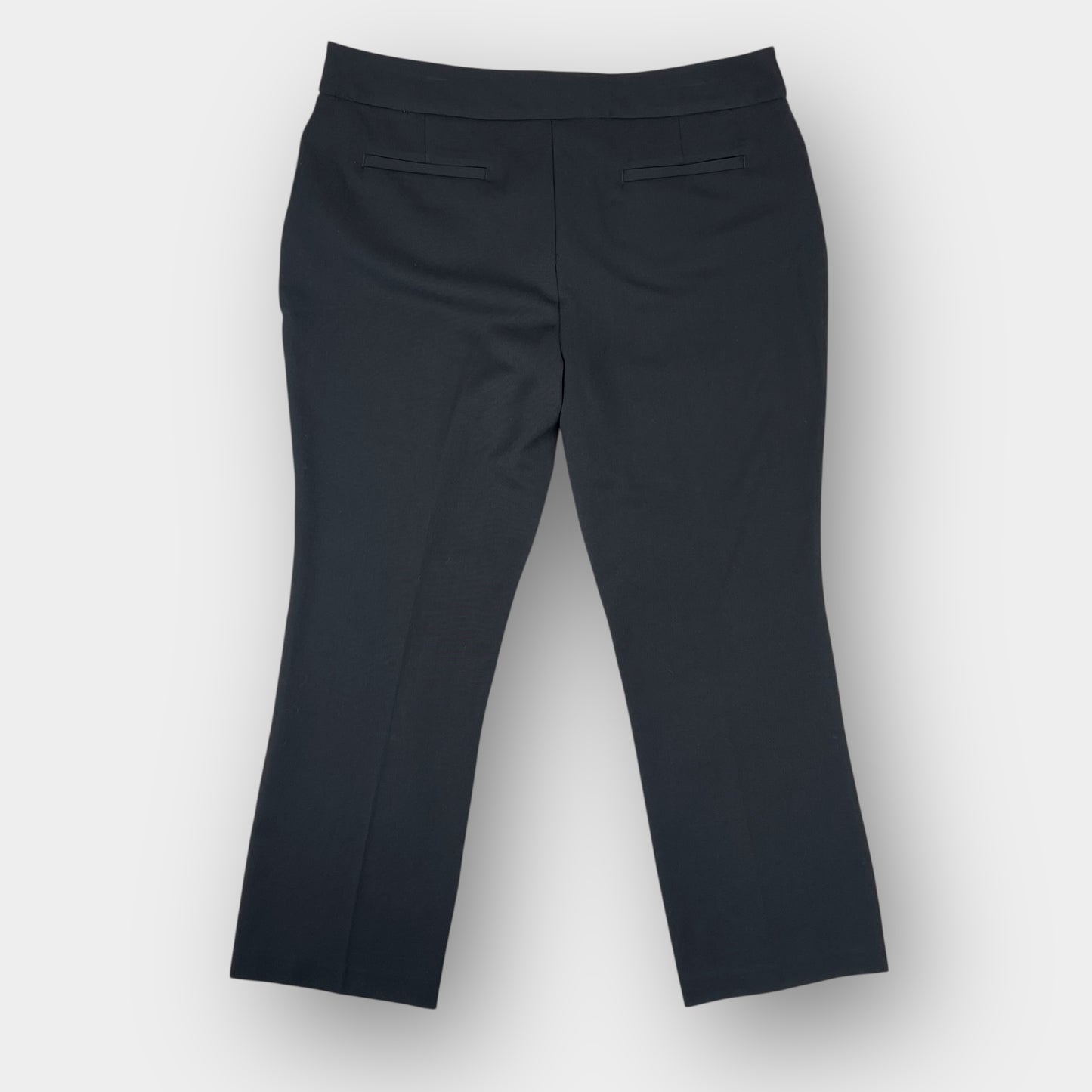 Northern Reflections Petite dress pant