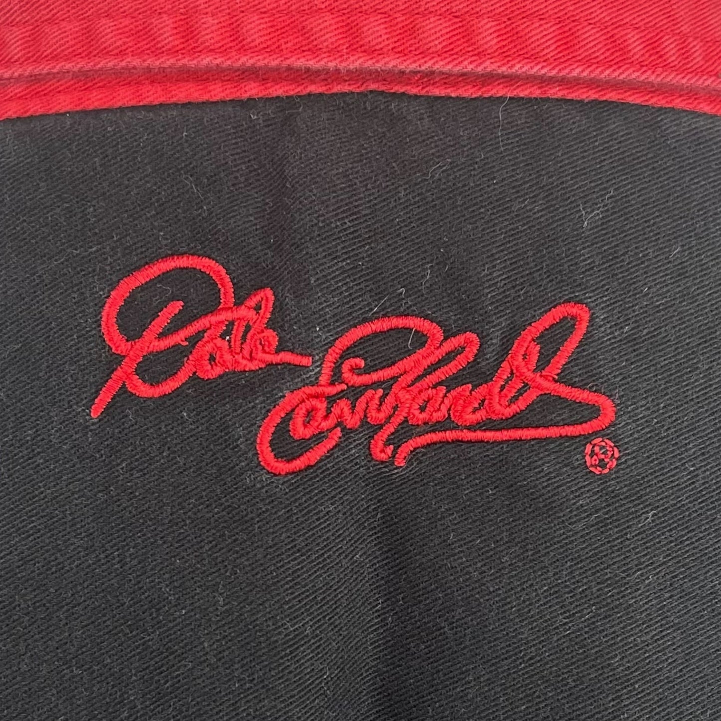 Dale Earnhardt button-up