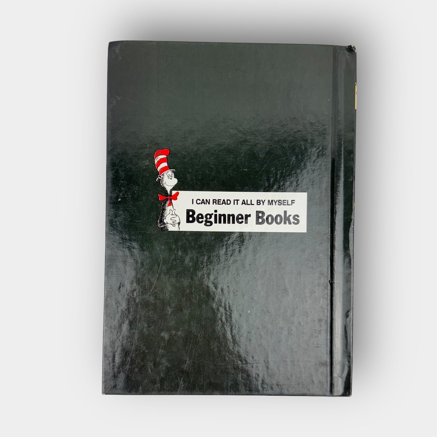 Ten Apples Up On Top book