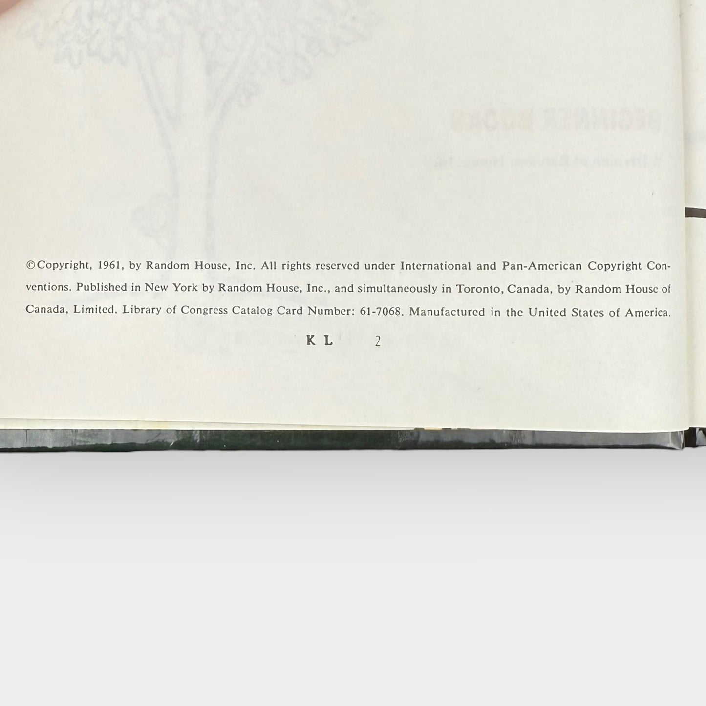 Ten Apples Up On Top book