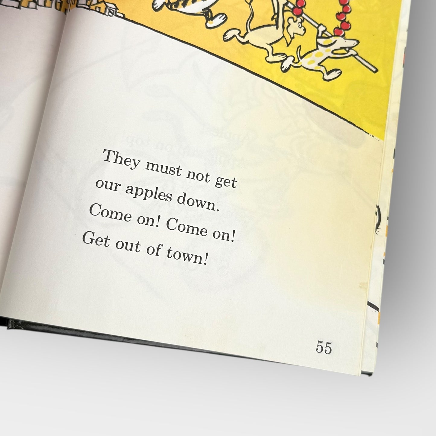 Ten Apples Up On Top book