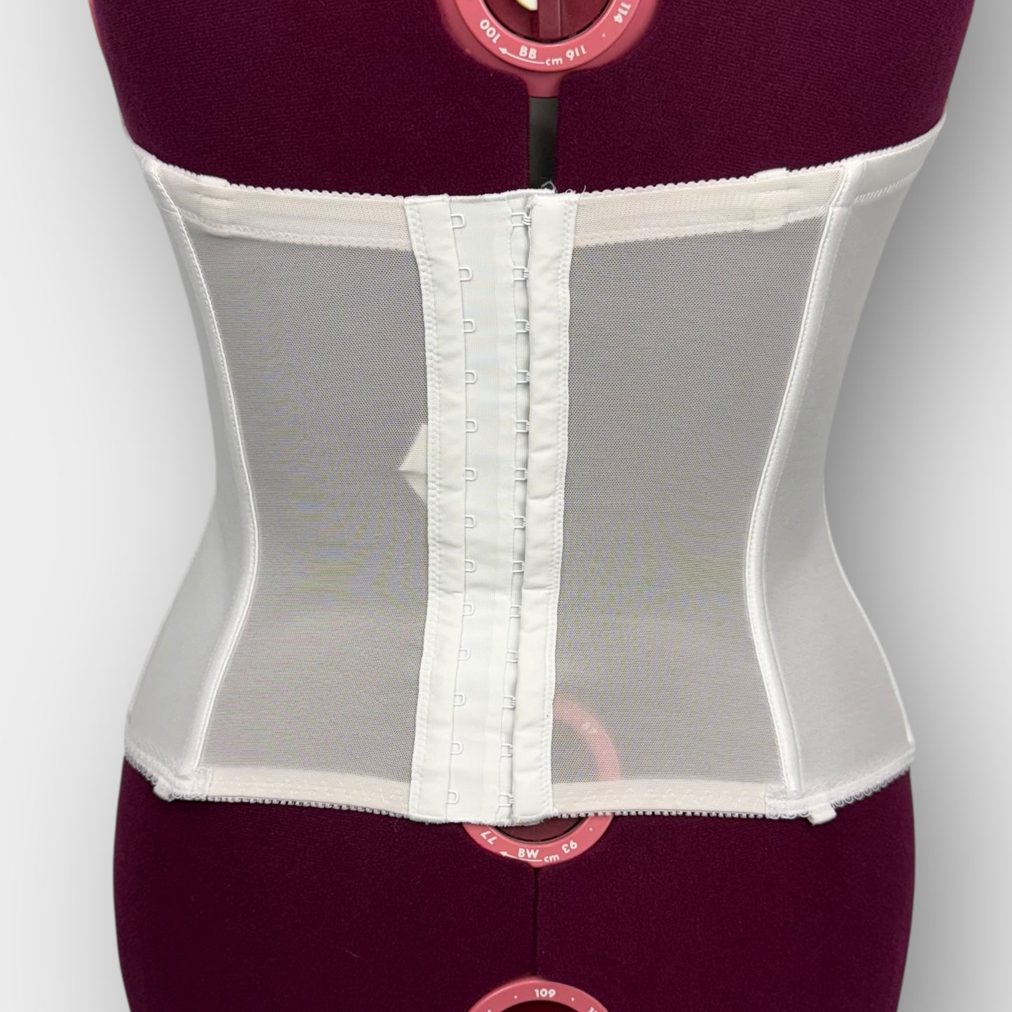 Dominique Corset David's Bridal 36D