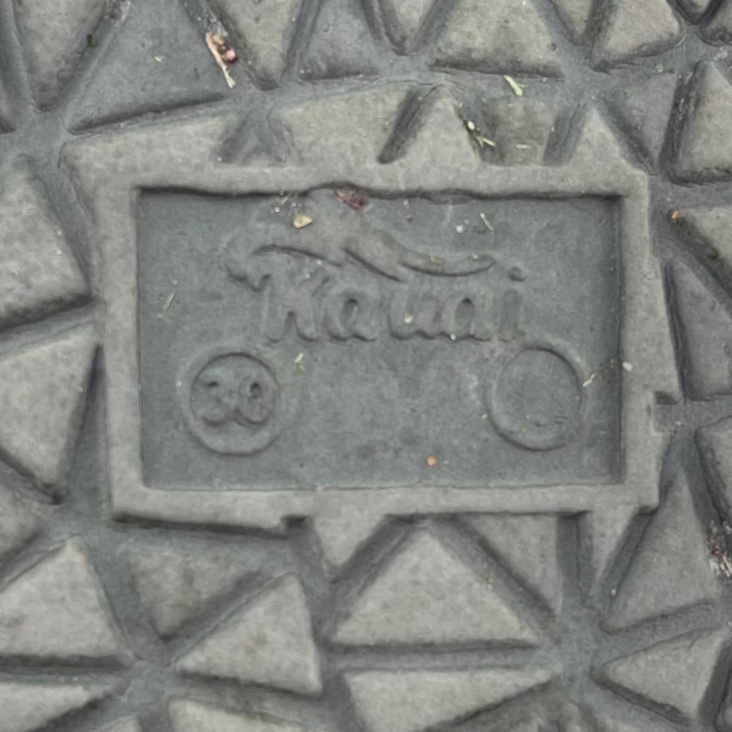 Kauai sandals (1)