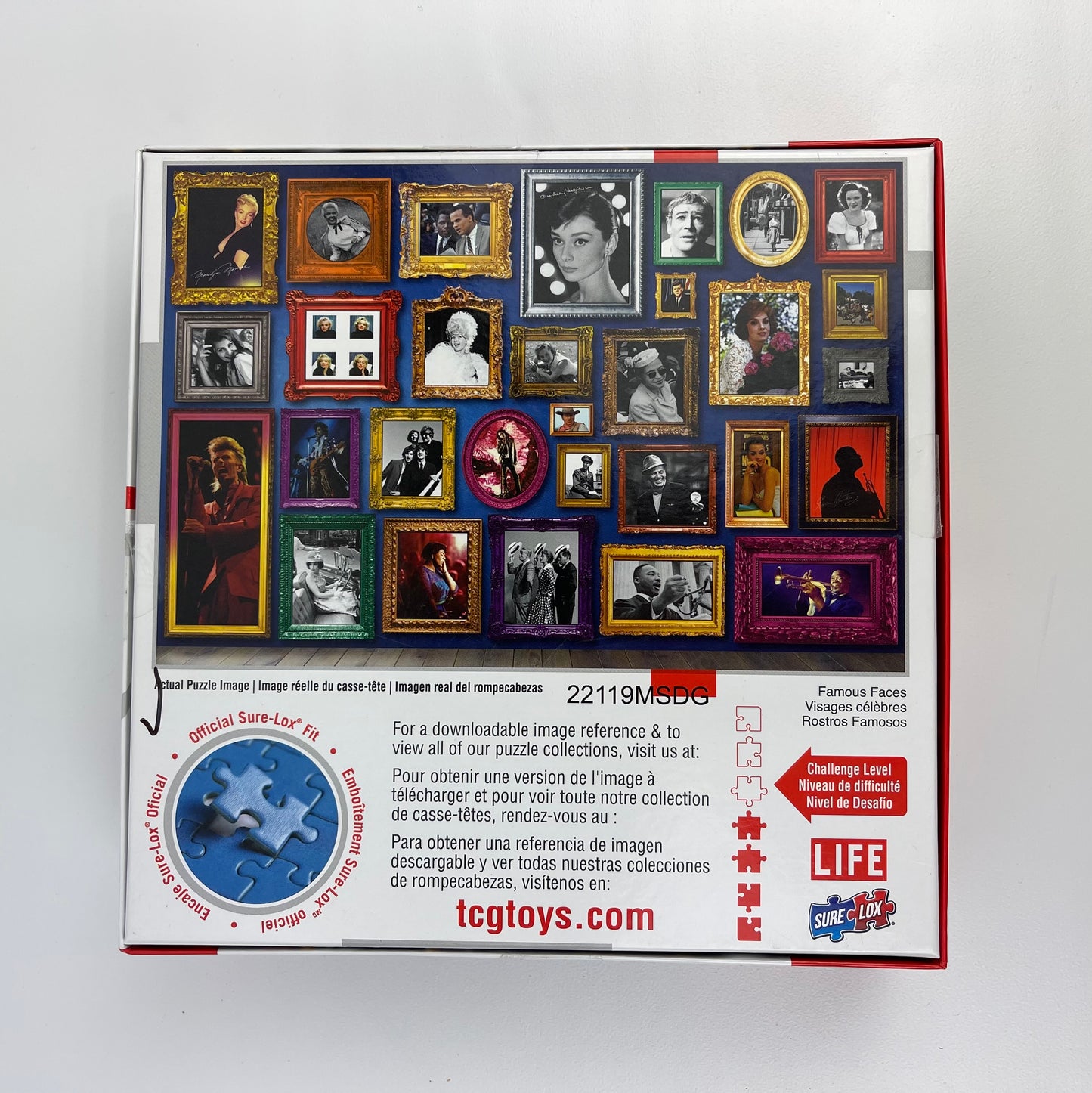 Life puzzle (500)