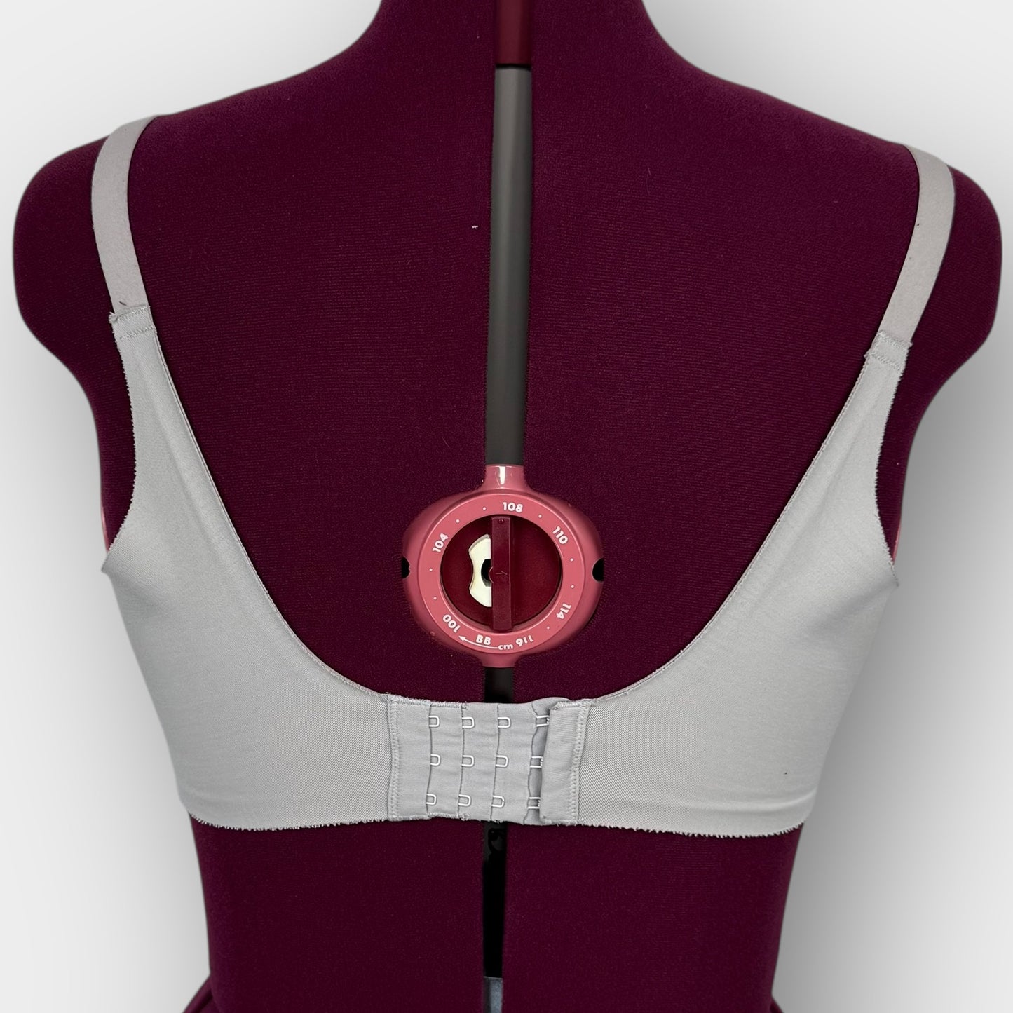 La Vie en Rose Bra (40D)