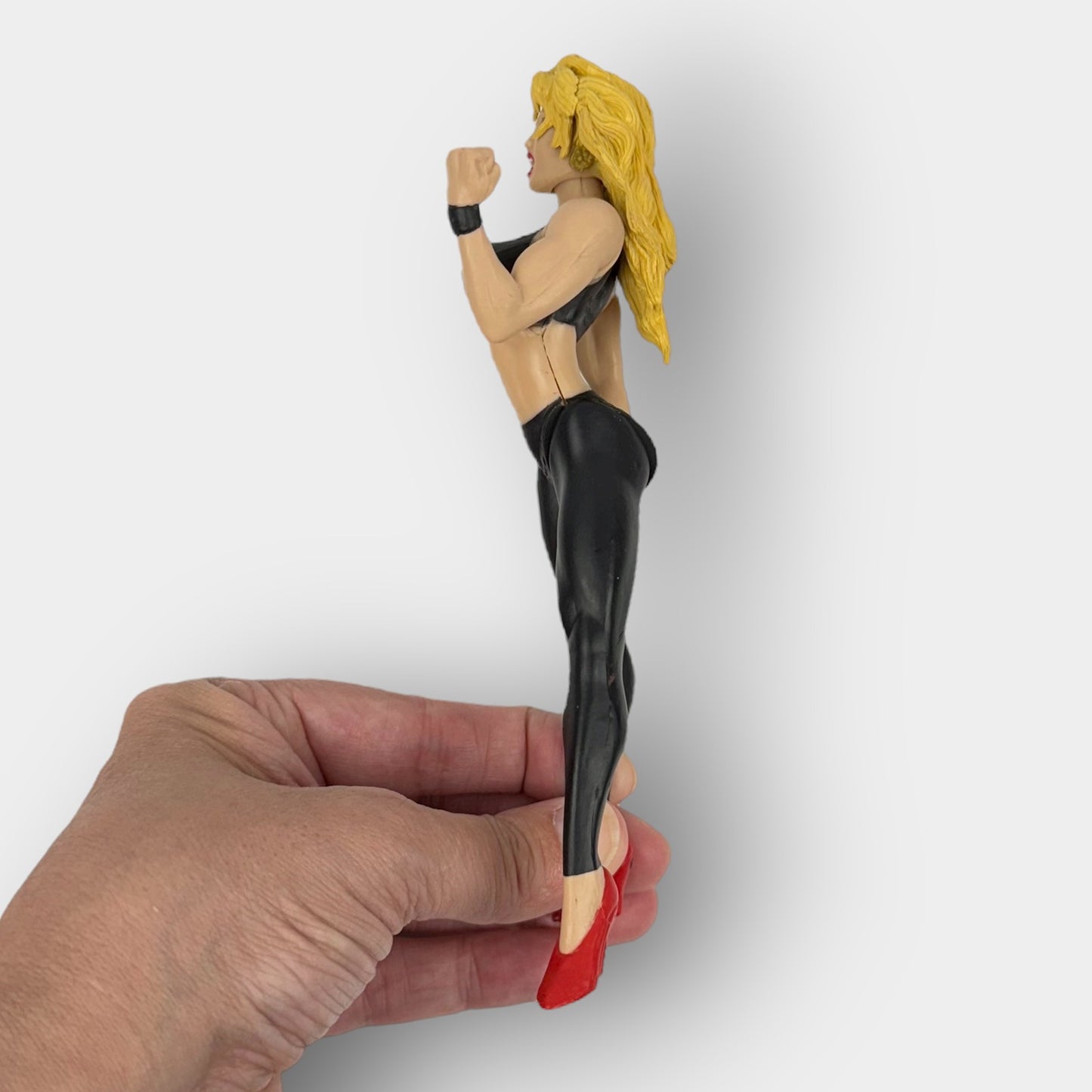 WWE Sable Figures Pair
