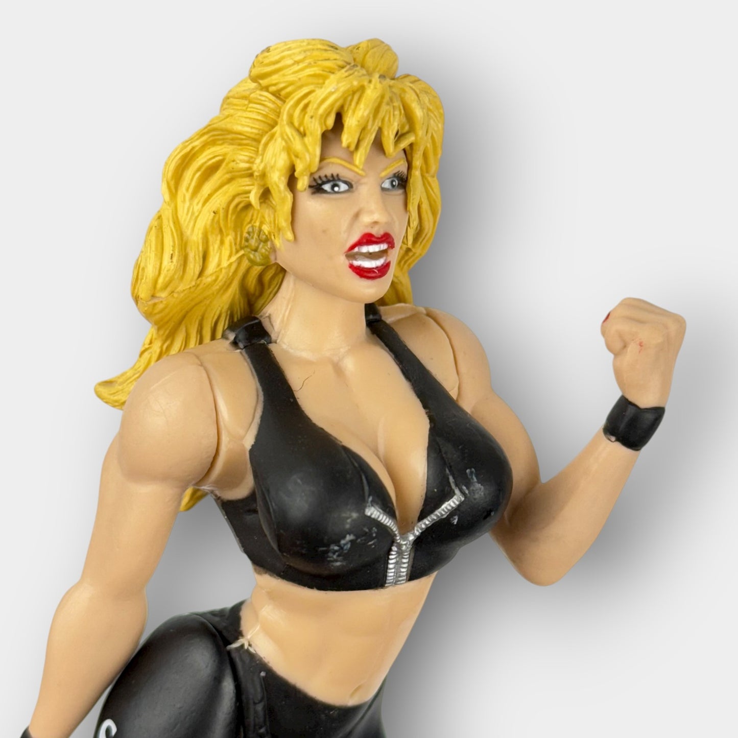 WWE Sable Figures Pair
