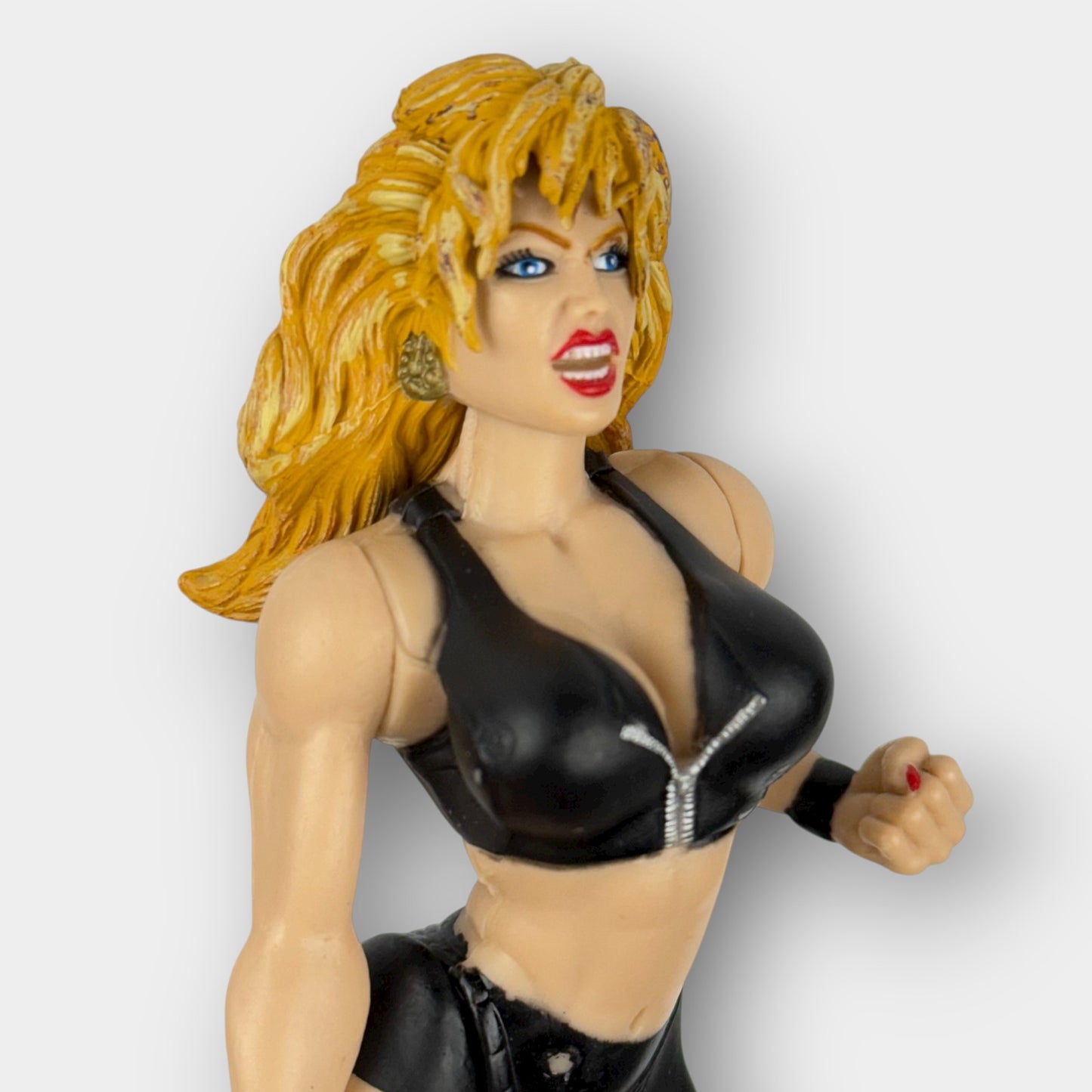WWE Sable Figures Pair