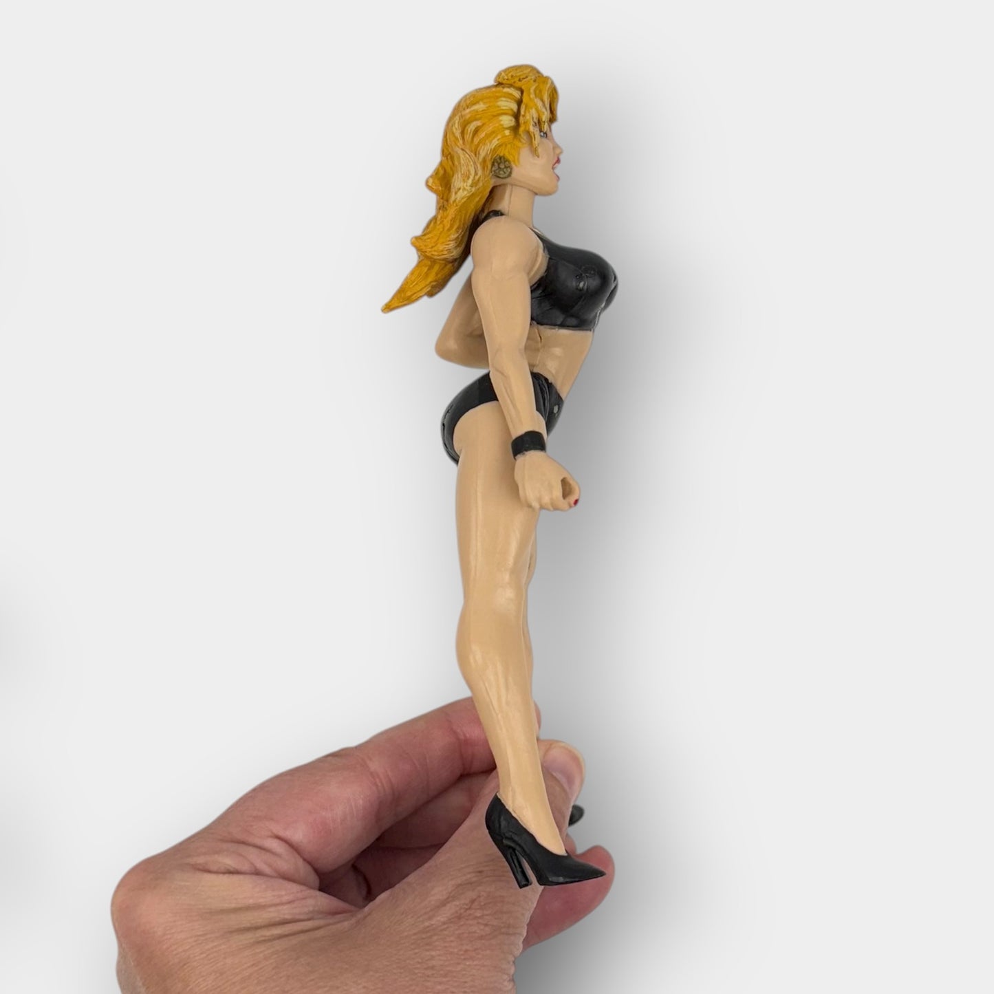 WWE Sable Figures Pair