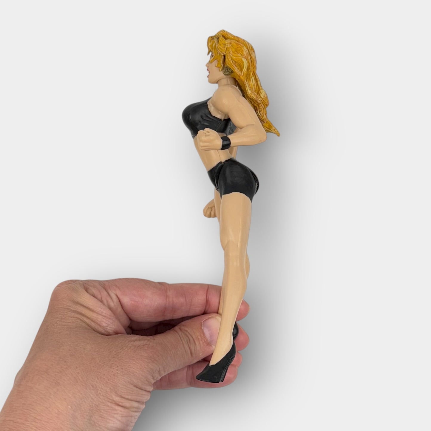 WWE Sable Figures Pair