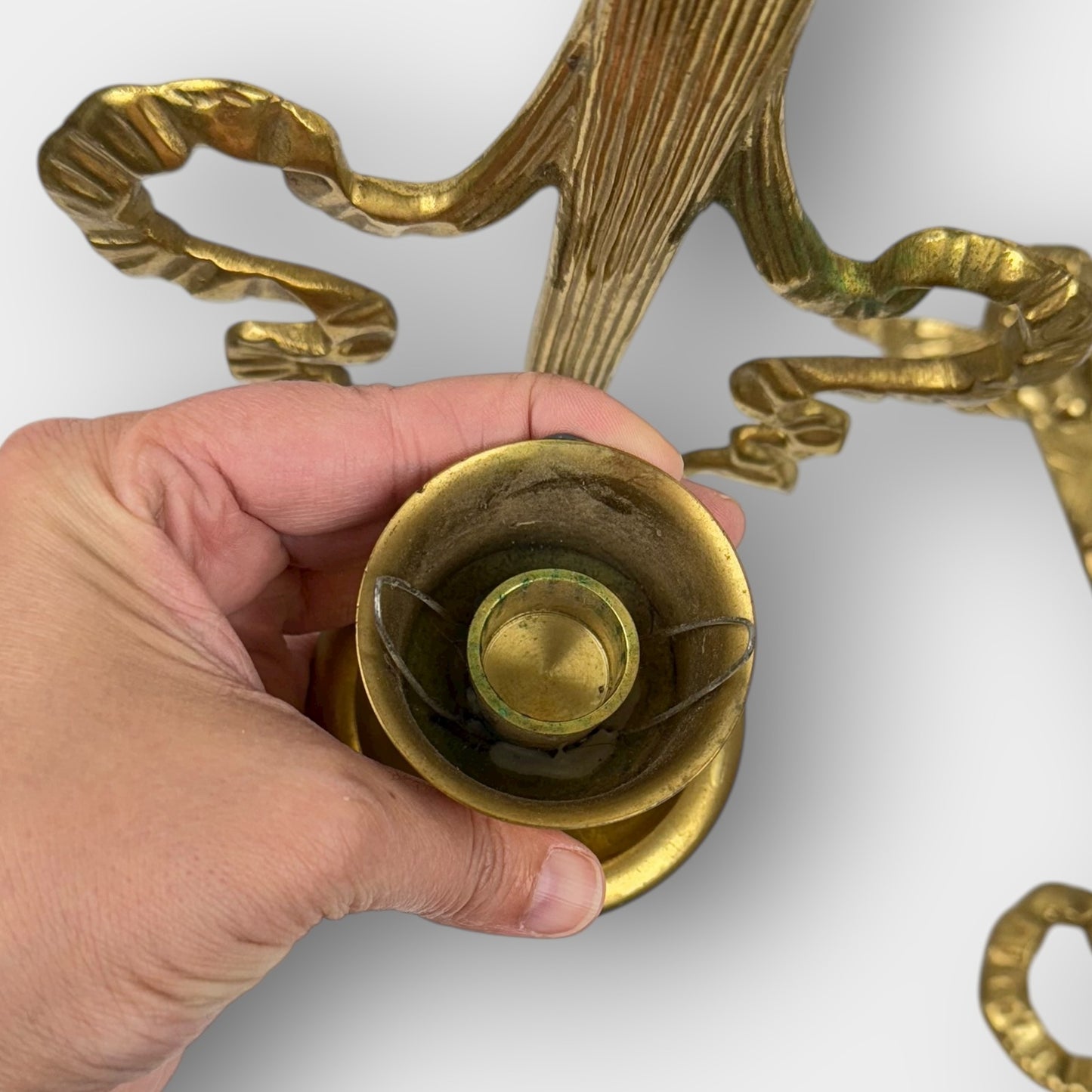 Brass Cherub Wall Sconces