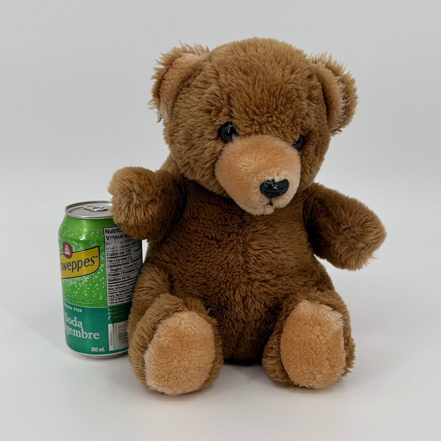 Classic Plush Teddy Bear