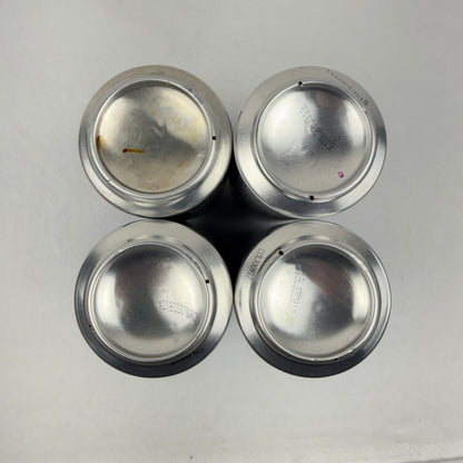 Sports Beer Can Lot