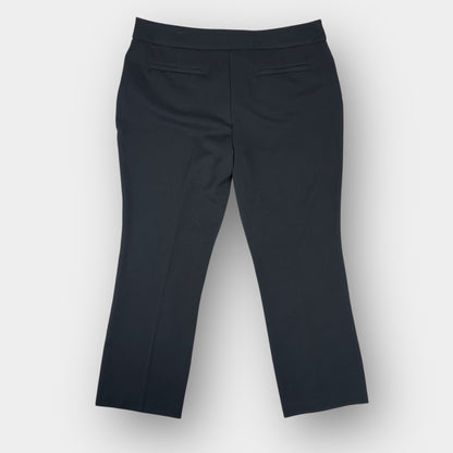 Northern Reflections Petite dress pant