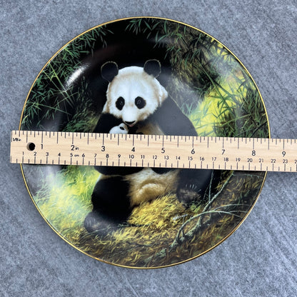 The Panda by Will Nelson