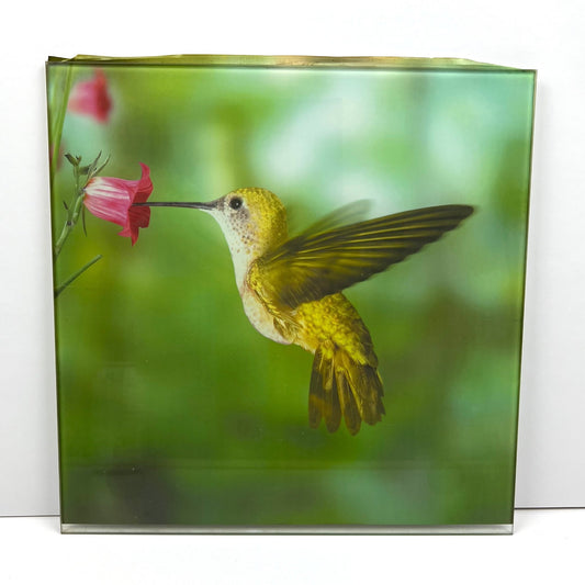 Hummingbird wall décor