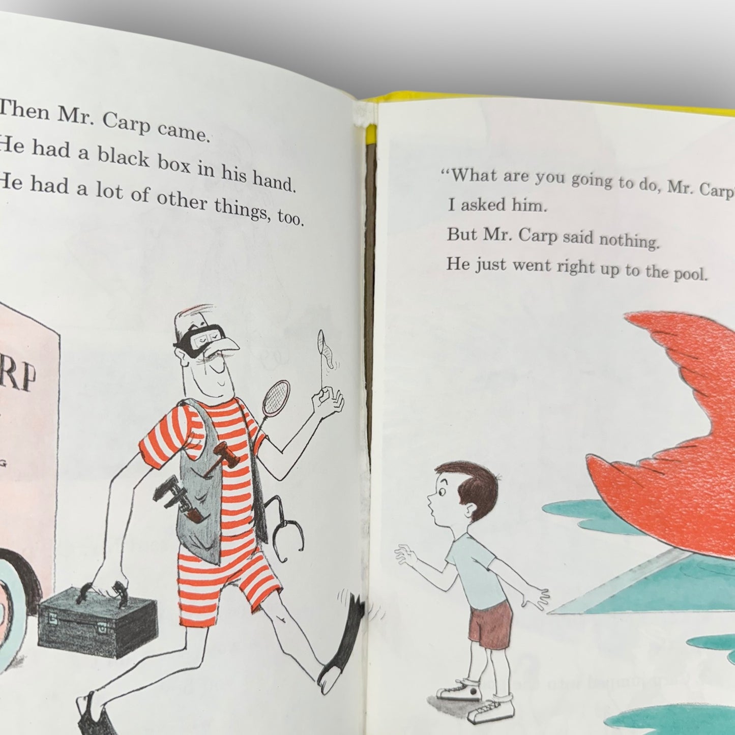 A Fish Out of Water book