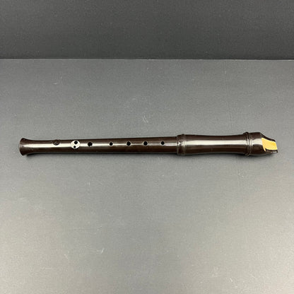 Aulos recorder