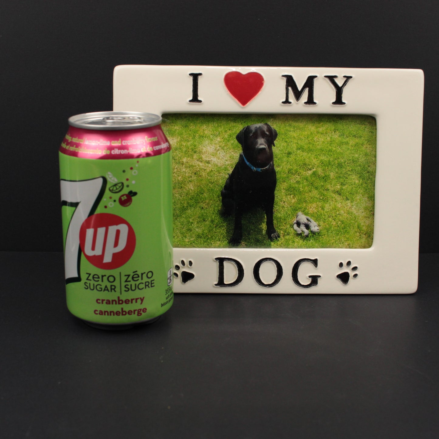 I Love My Dog frame