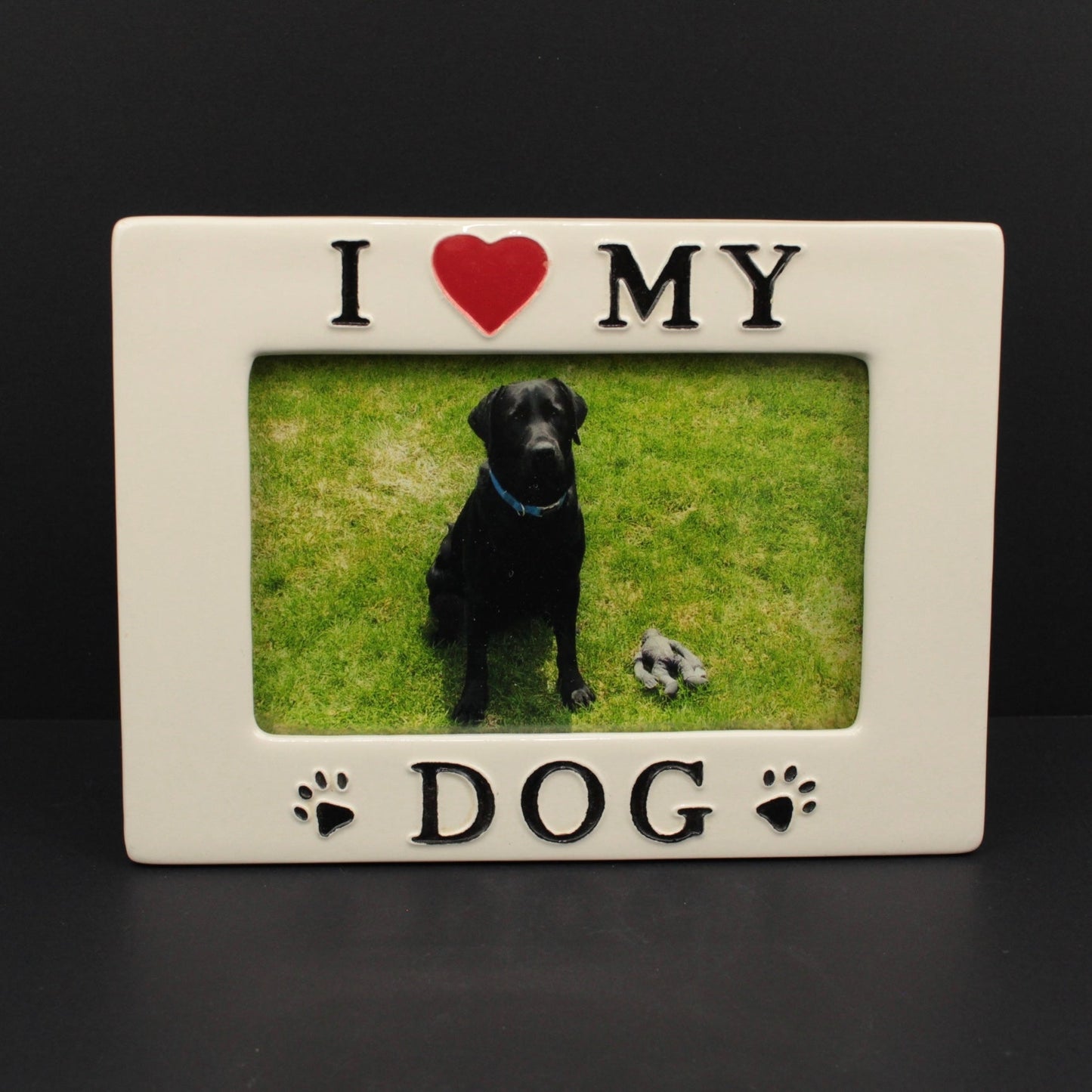 I Love My Dog frame