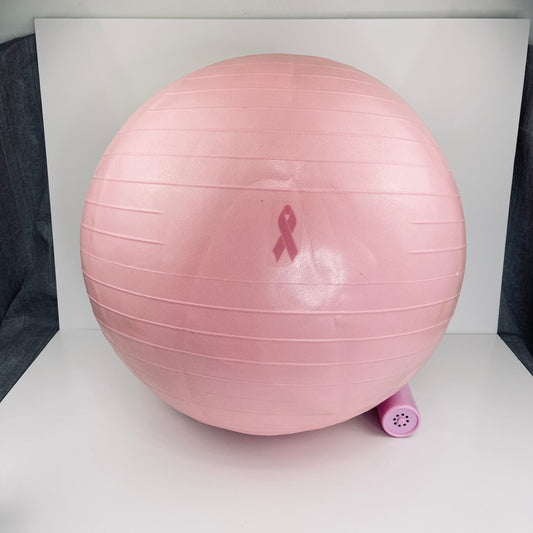Pilates workout ball
