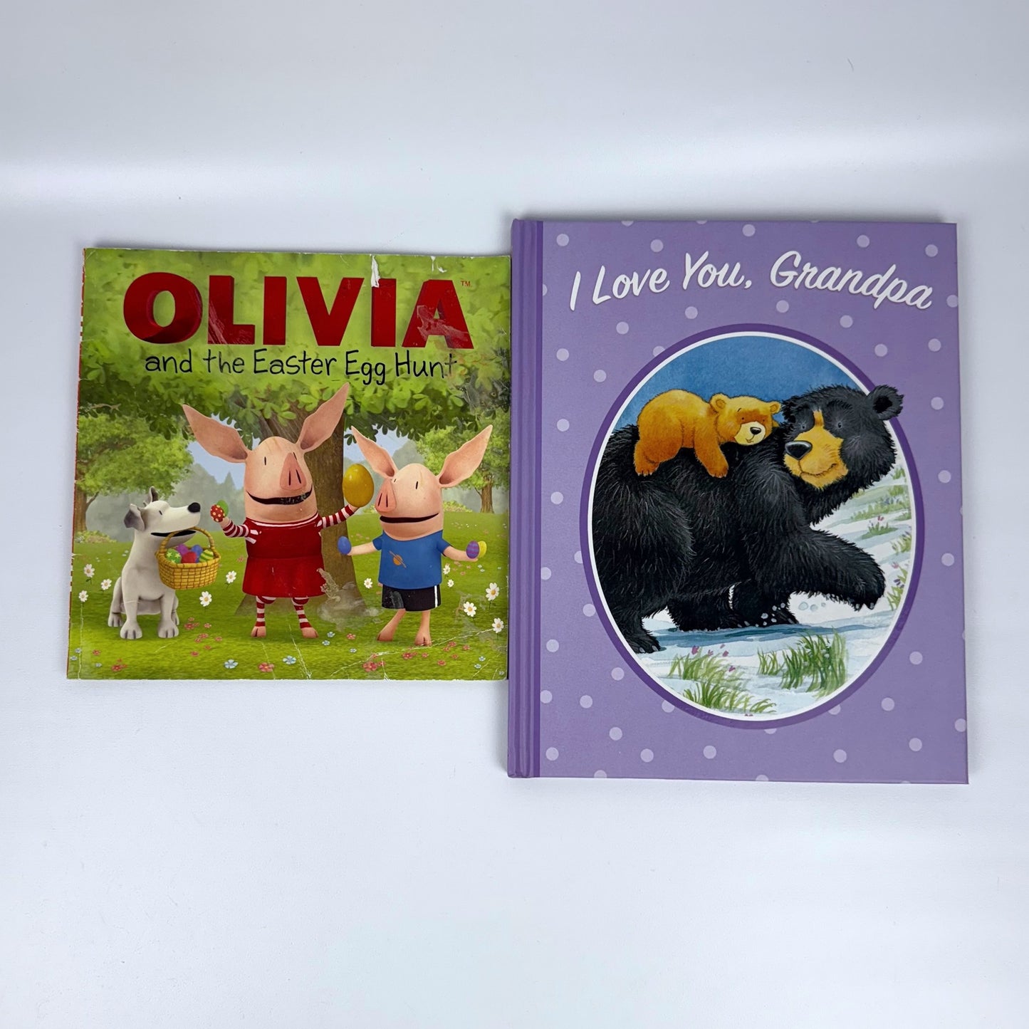 Kids picture book bundle