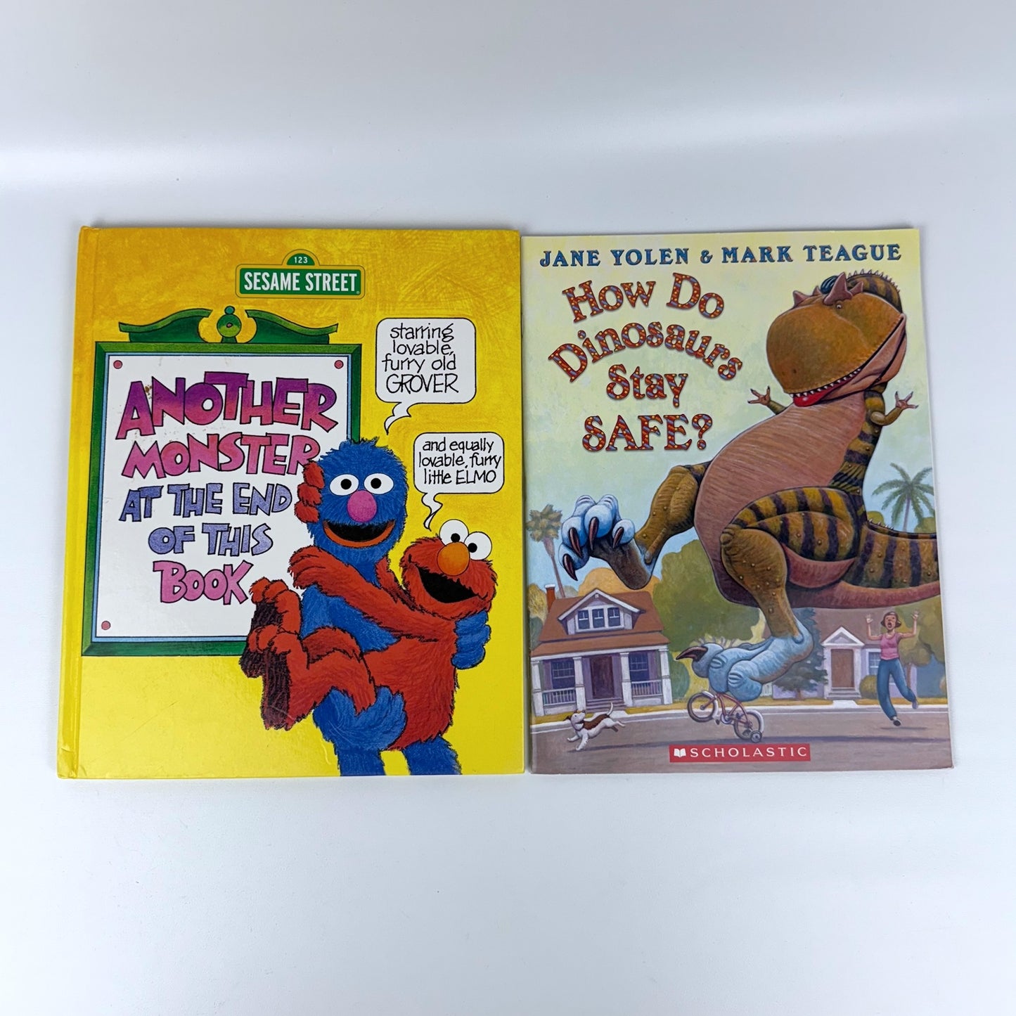 Kids picture book bundle