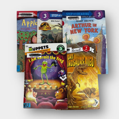 Kids early reader book bundle