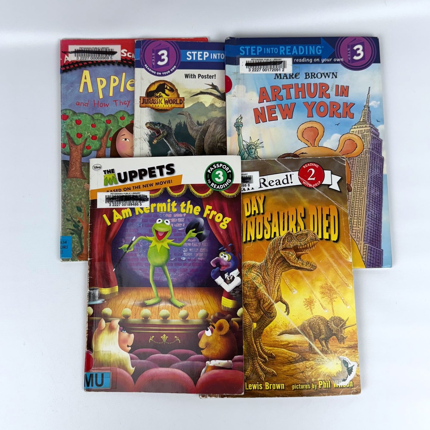 Kids early reader book bundle