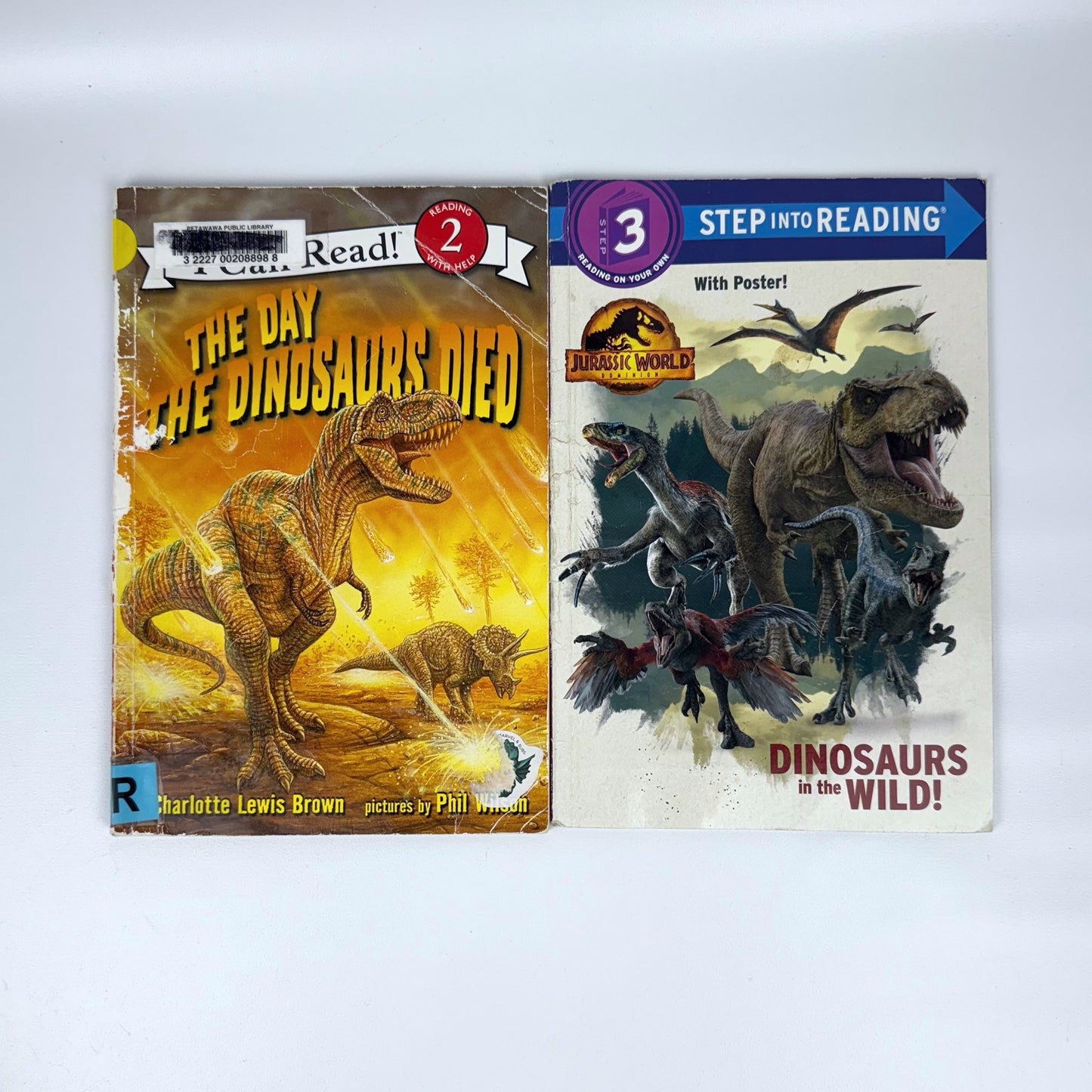 Kids early reader book bundle