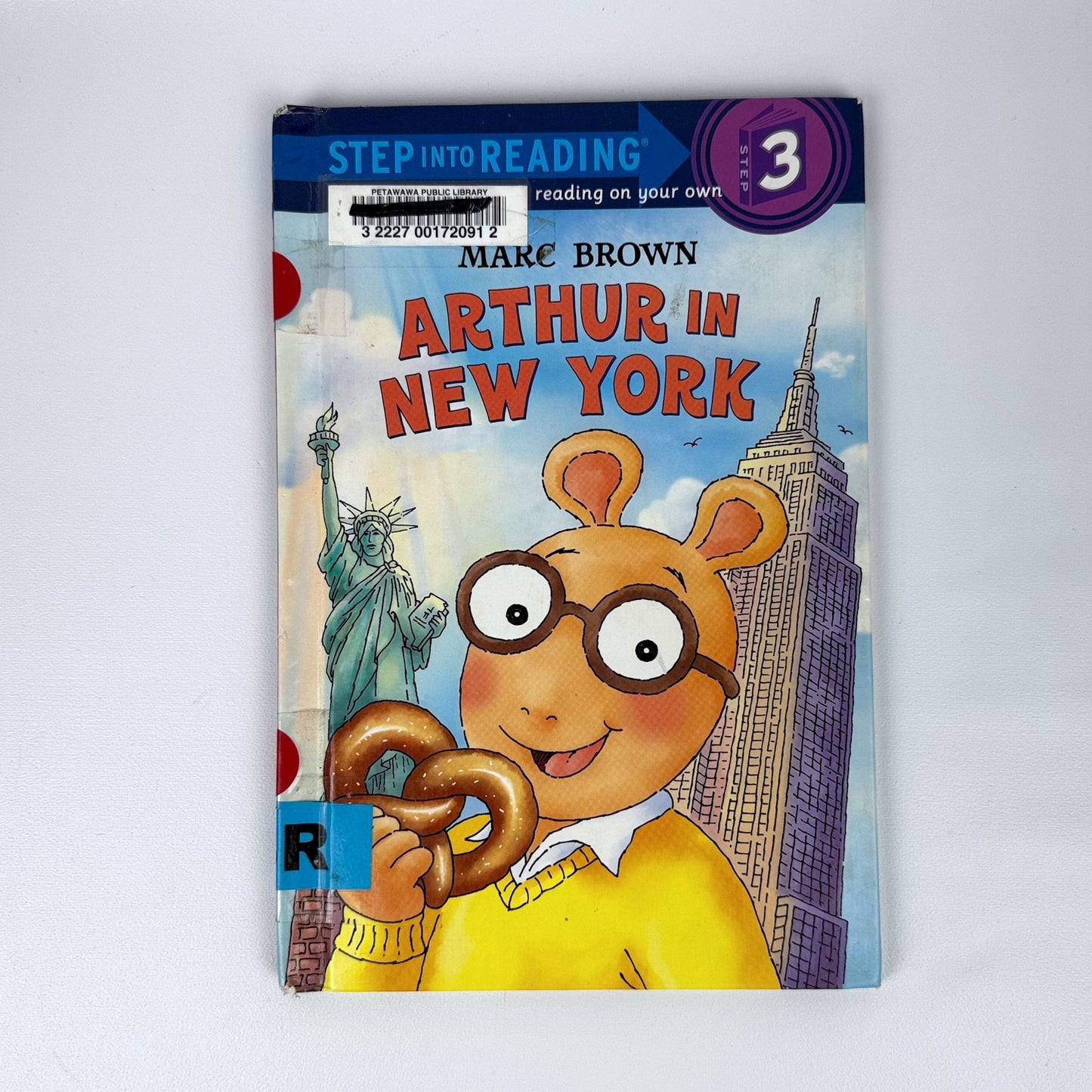 Kids early reader book bundle