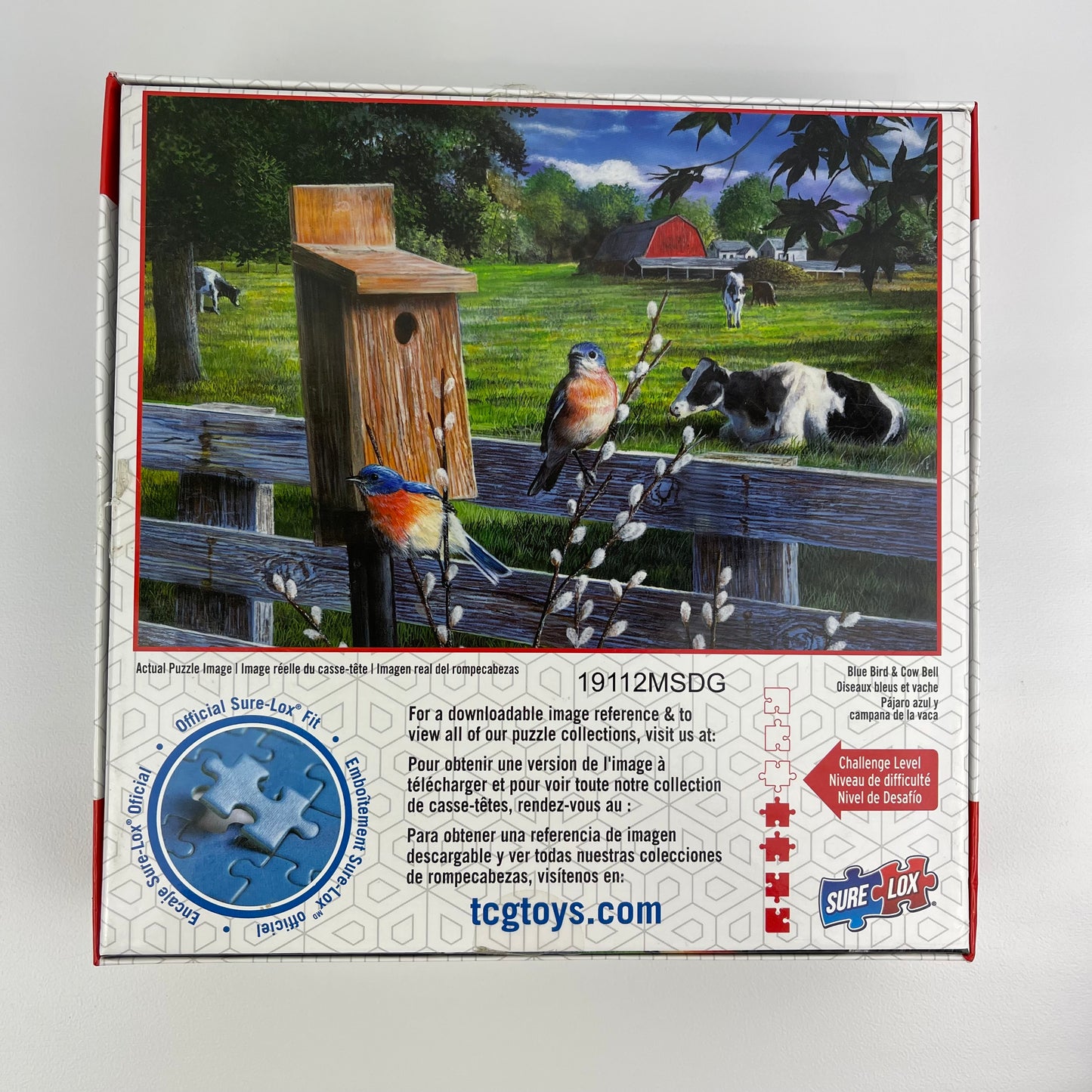 Puzzler's Choice