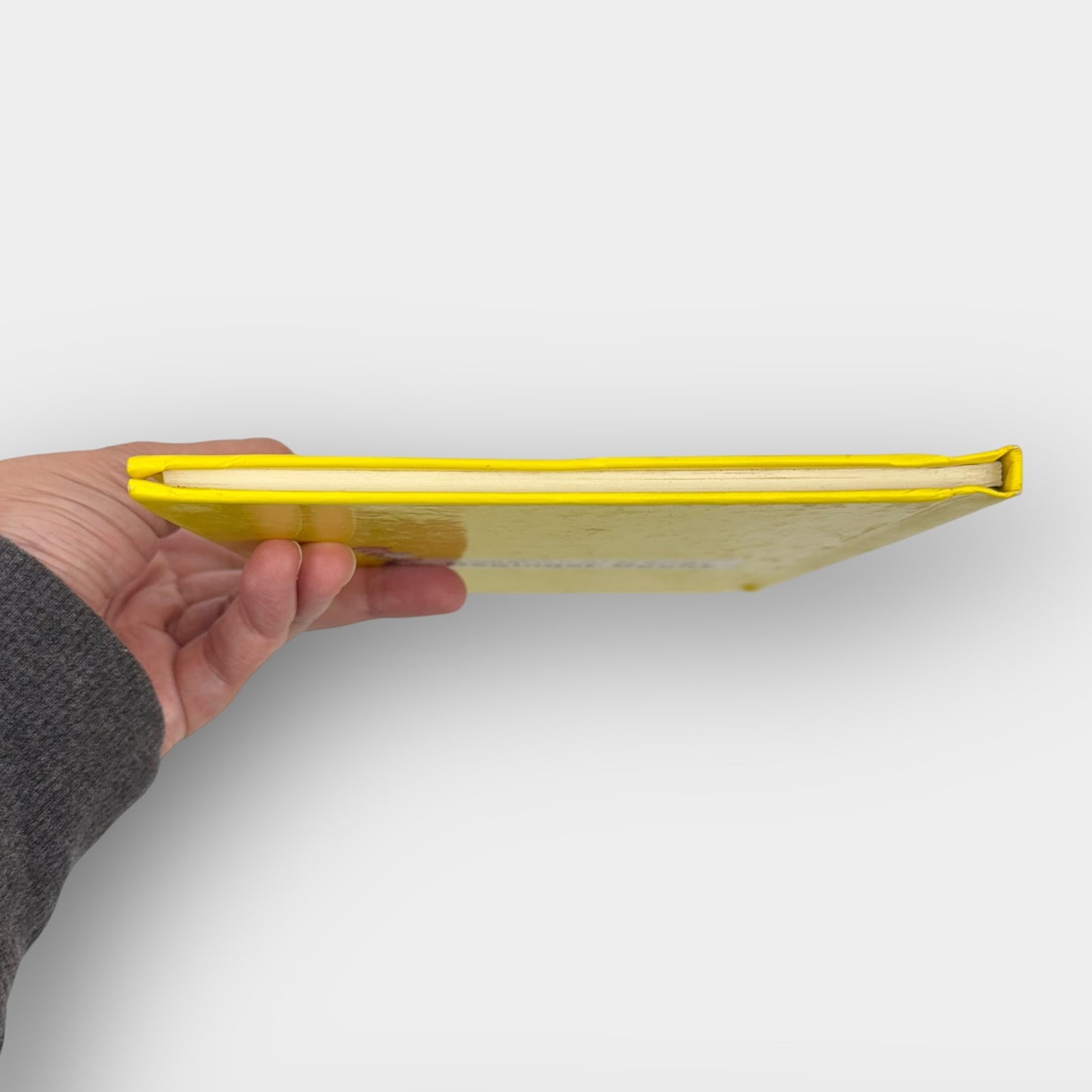 Big Jump Beginner Book