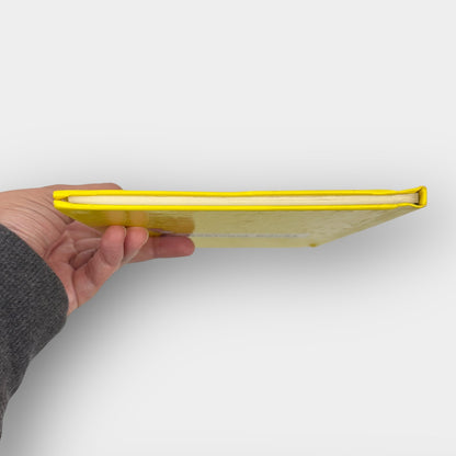 Big Jump Beginner Book