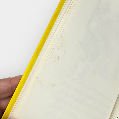 Big Jump Beginner Book