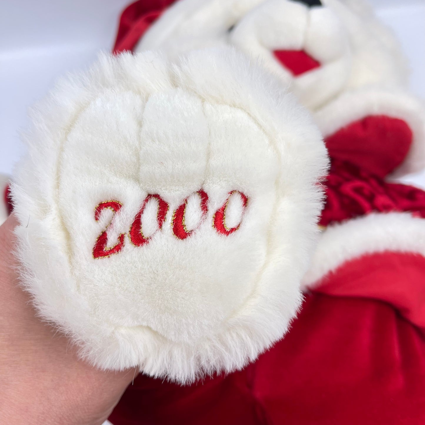 Snowflake Teddy