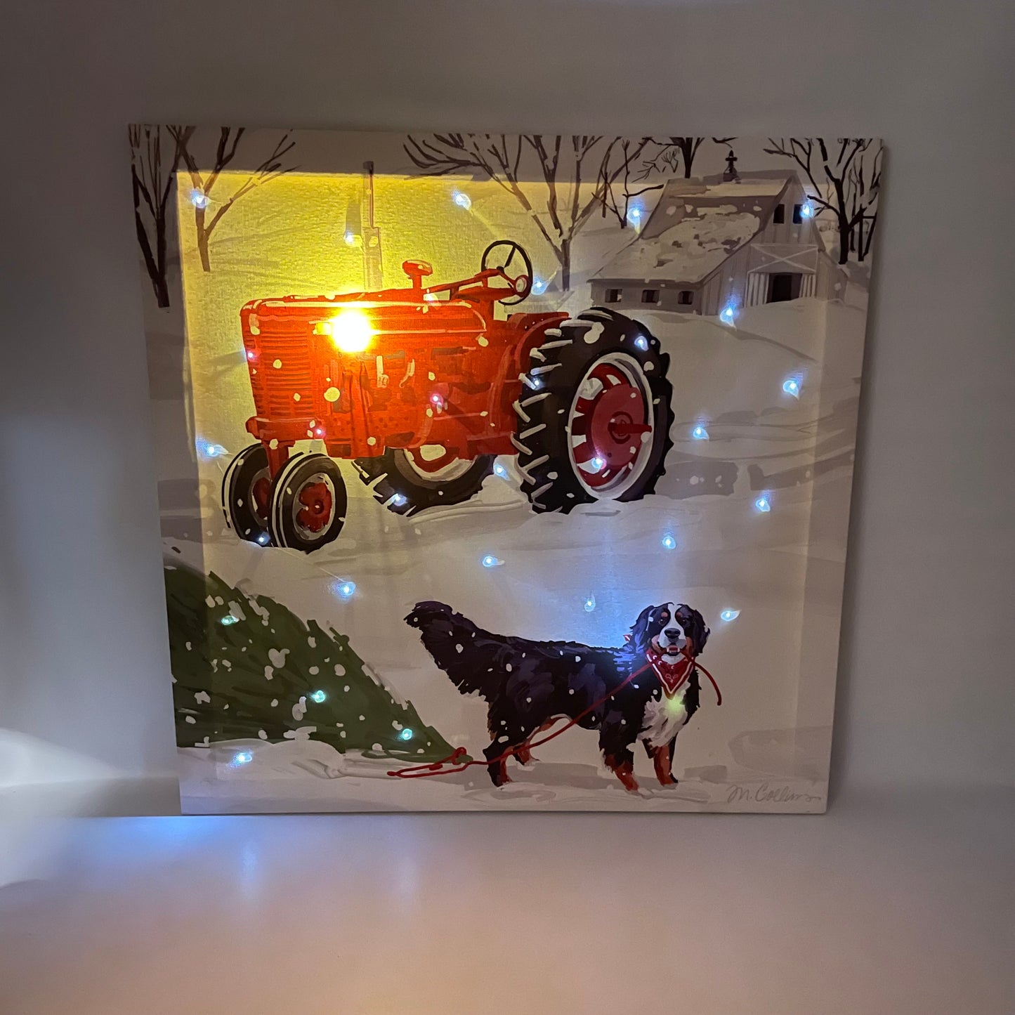 Tractor and Dog