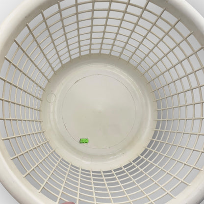 Plastic Laundry Basket