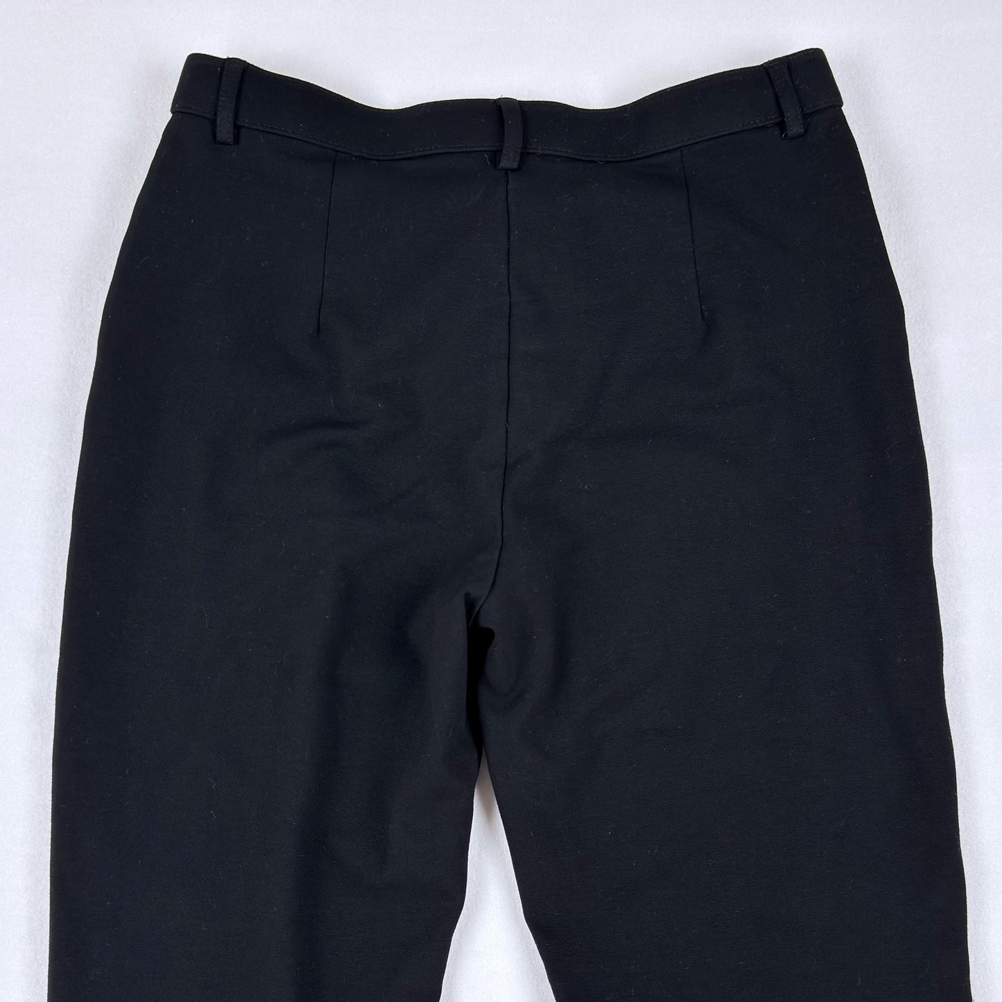 TanJay Sequin Stripe Pants