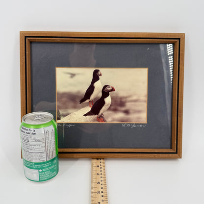 Framed Puffin Bird Print