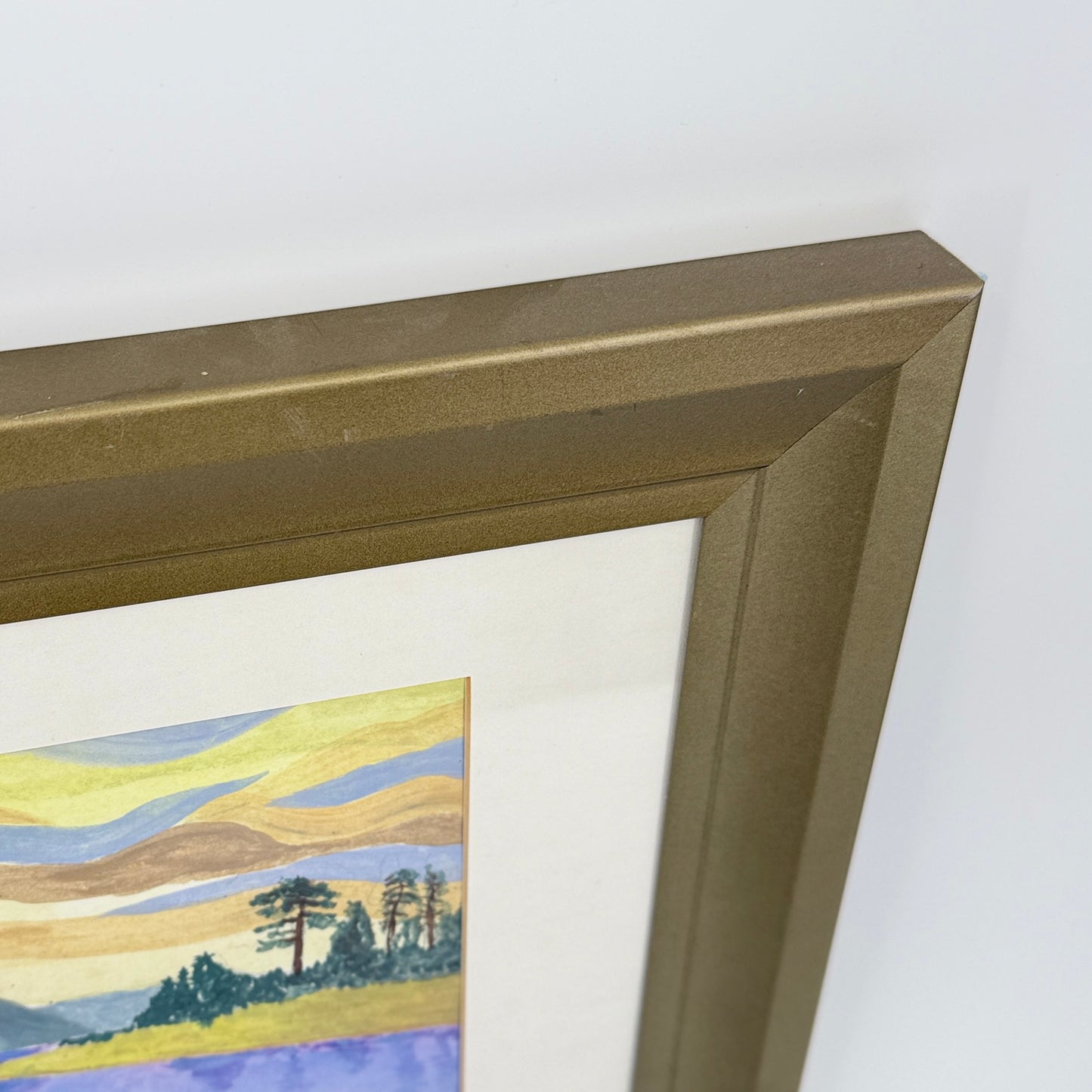 Heavy Framed Landscape Art