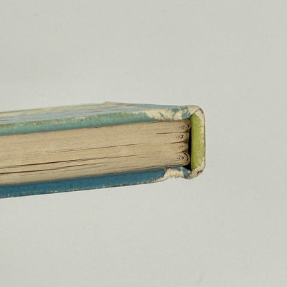 Dandelion Vintage Flip Book