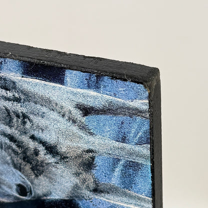 Wolf Moon Wall Plaque