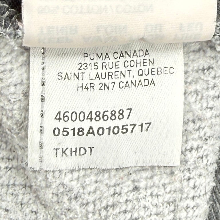 Puma Graphic Hoodie