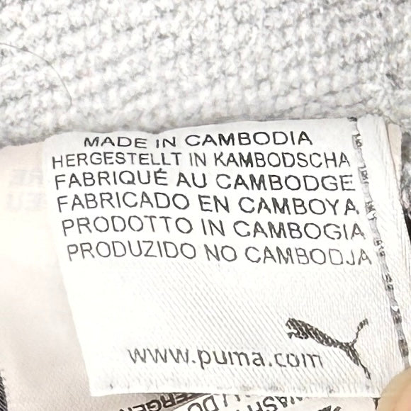 Puma Graphic Hoodie