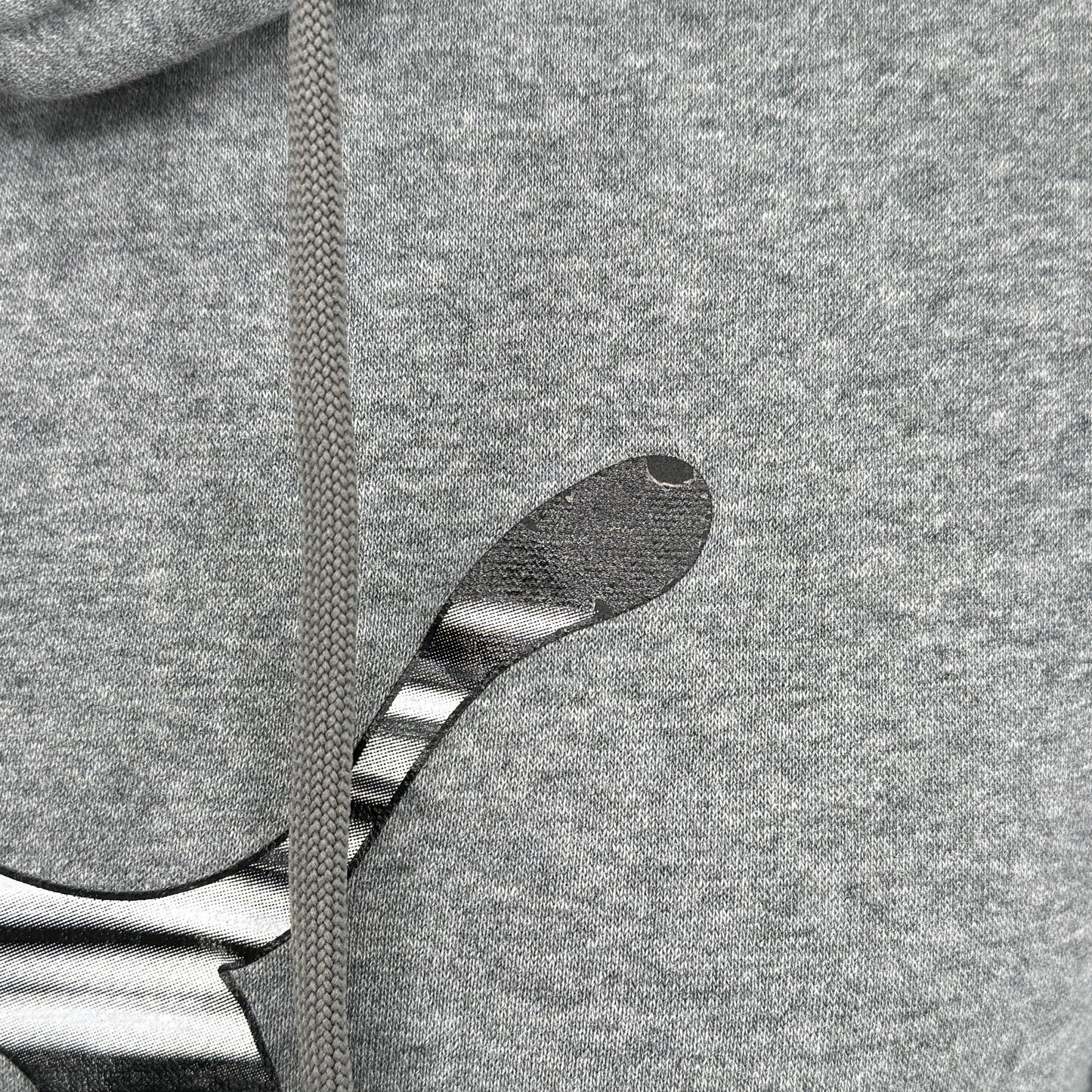 Puma Graphic Hoodie