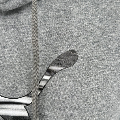 Puma Graphic Hoodie