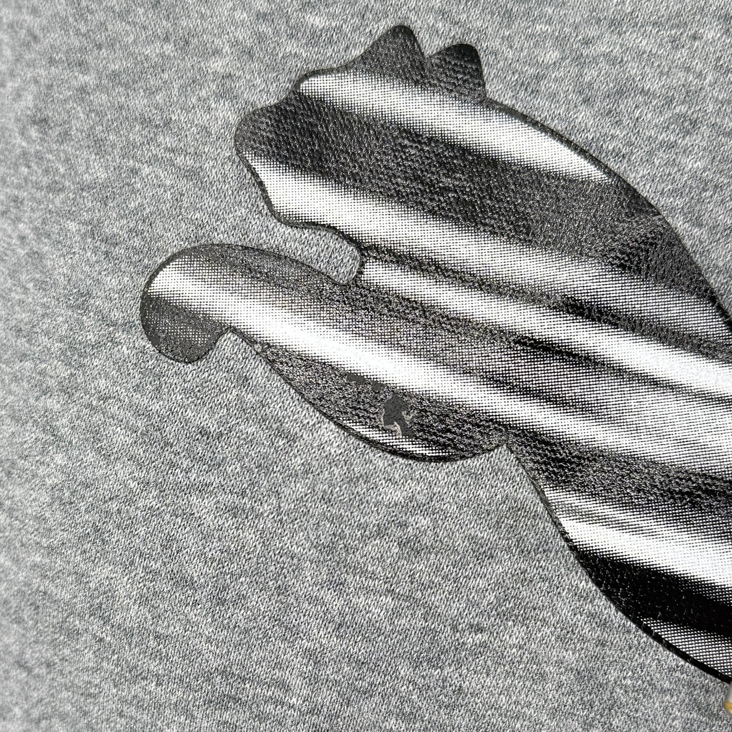Puma Graphic Hoodie