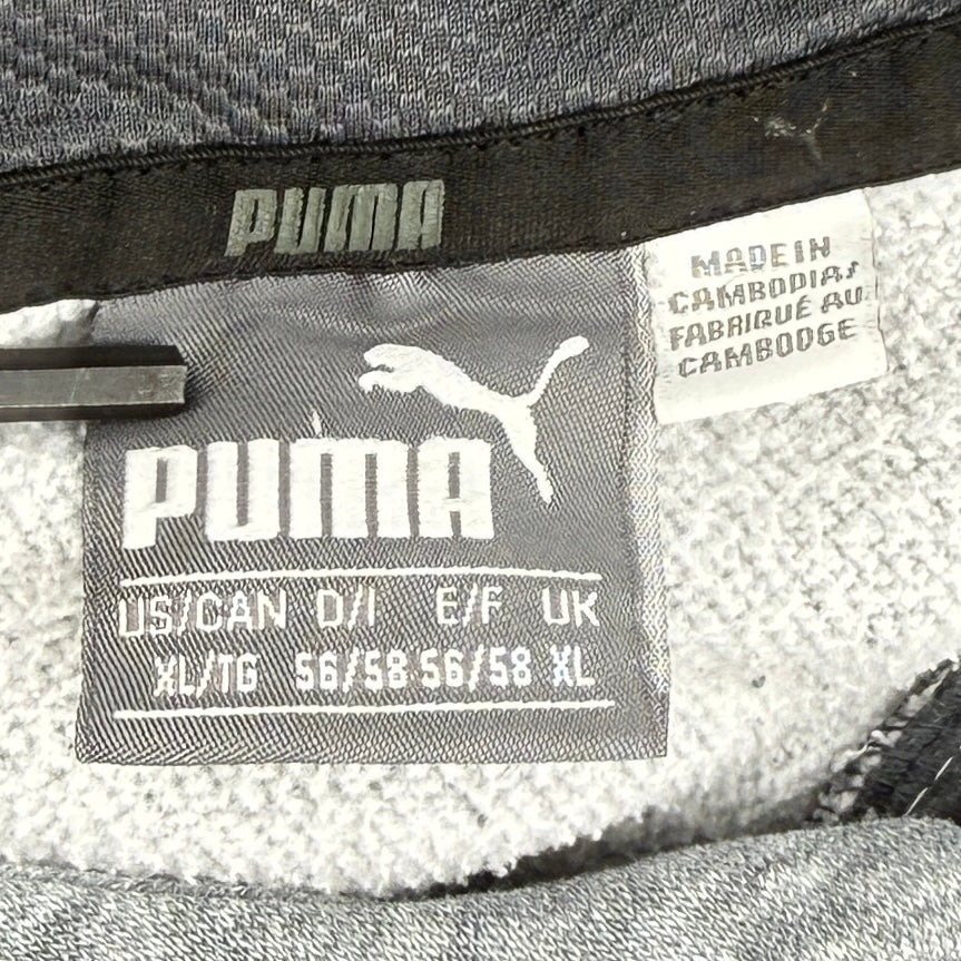 Puma Graphic Hoodie