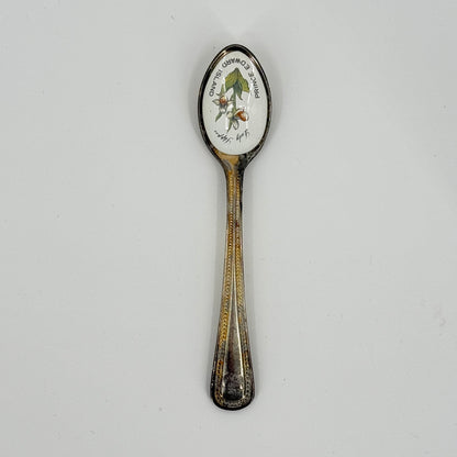 PEI Lady Slipper Spoon